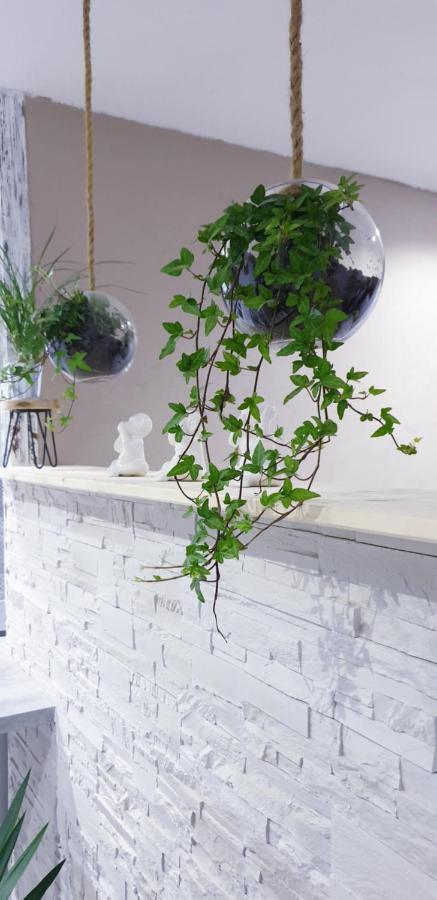 Zen Et Cosy, Neuf En Pleine Saint-Claude